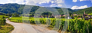 Alsace region of France - famous vine road.