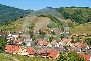 Alsace Route des Vins photo