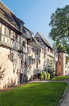 Alsace street with trees