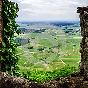 Alsace view from the top of hill