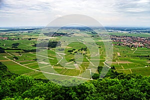 Alsace view from the top of hill