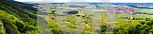 Alsace view from the top of hill