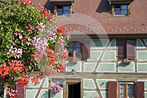 Alsace village with flower