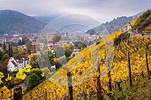 Alsace vineyards in autumn, Thann, France