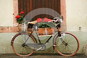 Alsatian bike in flowers photo