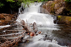 Alsea Falls