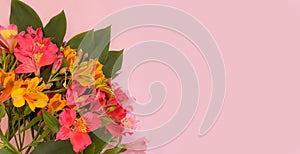 Alstroemeria flower arrangement frame on a colored background banner