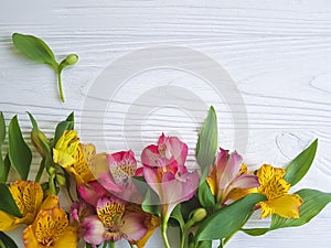 Alstroemeria flower decoration blossom white wooden arrangement background, frame fragility