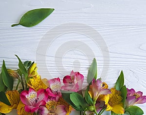 Alstroemeria flower decoration white wooden arrangement background, frame