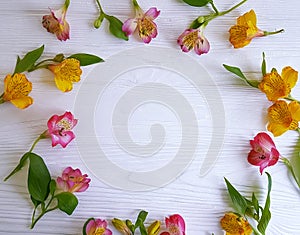 Alstroemeria flower design on white wooden background