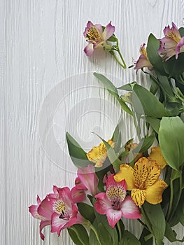 Alstroemeria flower on a white wooden arrangement background, frame