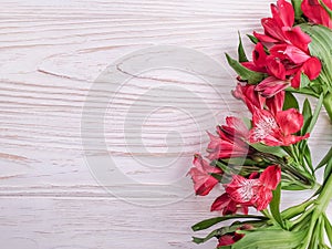 Alstroemeria flower  wood background frame beauty