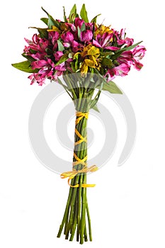 Alstroemeria flowers bouquet isolated photo