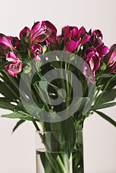 Alstroemeria flowers bouquet in a vase