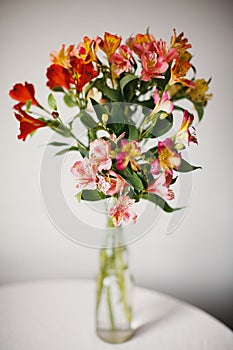 Alstroemeria flowers in vase photo