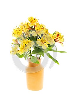 Alstroemeria in a vase