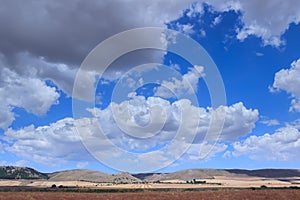 Alta Murgia National Park: harvested wheat field in Puglia, Italy.