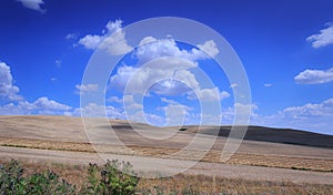 Alta Murgia National Park: harvested wheat field in Puglia, Italy.