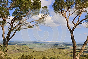 Alta Murgia National Park: panoramic view. - (Apulia) ITALY-