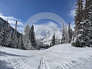 Alta Ski Resort Utah photo