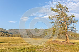 Altai, Altay Mountains, are a mountain range in Central and East Asia, where Russia, China, Mongolia, and Kazakhstan come together