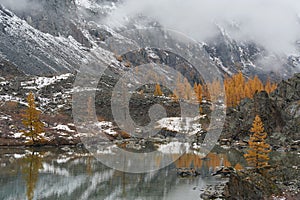 Altai mountains