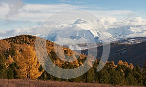 Altai mountains