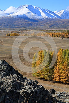 Altai Mountains