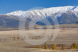 Altai mountains in autumn.