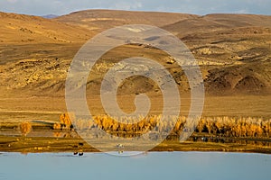 The altai mountains. landscape of nature on the Altai mountains and in the gorges between the mountains