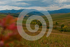 Altai mountains road