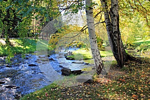 Altai region. Russia. The Belokurikha River. September. Autumn motive.