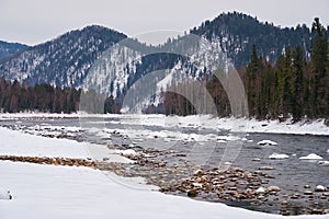 Altai river Biya in winter season. Banks of river are covered by ice and snow