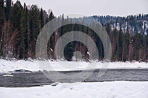 Altai river Biya in winter season. Banks of river are covered by ice and snow