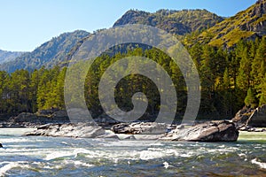 Altai river Katun