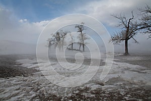 Altai steppe trees fog snow