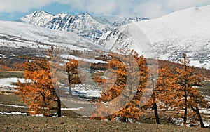 Altai Tavan Bogd National Park photo