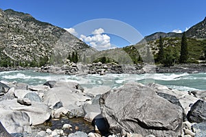 Altai turquoise Katun river on the summer