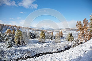 Altai under snow