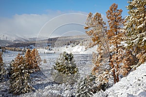 Altai under snow