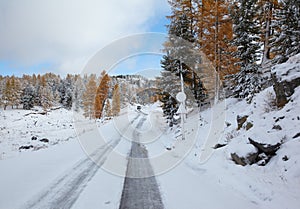 Altai under snow
