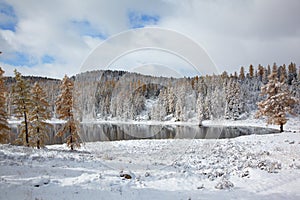 Altai under snow