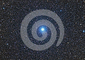 Altair, the brightest star in the Canis Major constellation