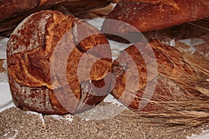 Altamura Italian Fresh Bread