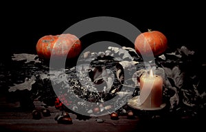 Altar of a forest witch in the dark. Pumpkins, candle, nuts, dry black leaves, selected focus, low key