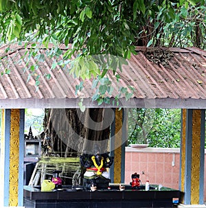 Altar Of Lord Ganesh Under A Tree In A Temple