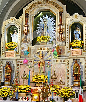 Altar of San Judas Tadeo church in mexico city I