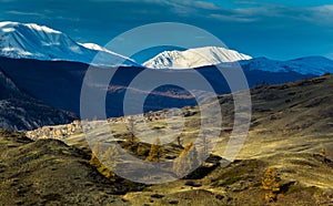 Altay. Mountains. Golden autumn. Blue sky.