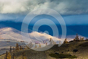 Altay. Mountains. Golden autumn. Blue sky.