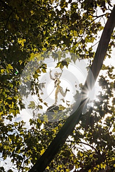 Alte Kanzlei Schillerplatz Golden Statue Tree Leaves Stuttgart G